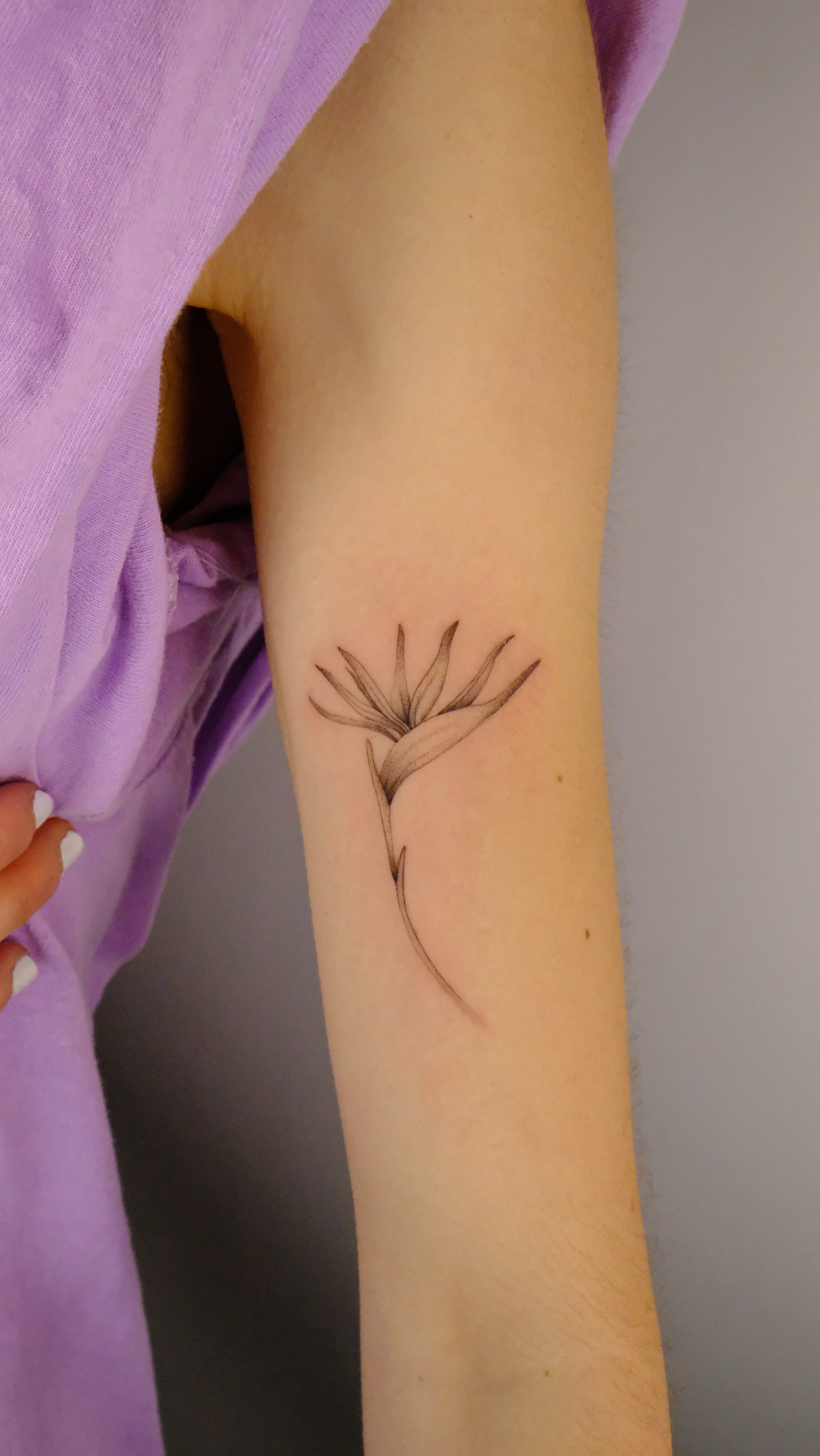 Tattoo Artist: Arte con Intención